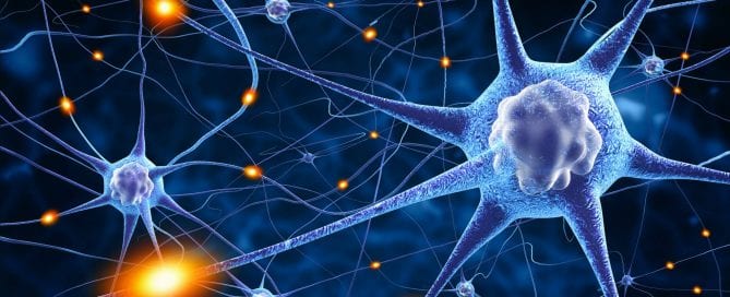 Psicologia e Neurologia da Religião: Sobre Fatos, Falácias e Futuro