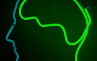 neuroplasticidade