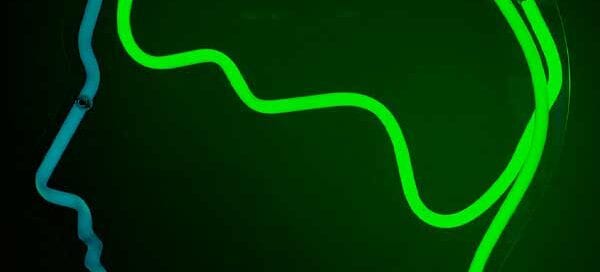 neuroplasticidade