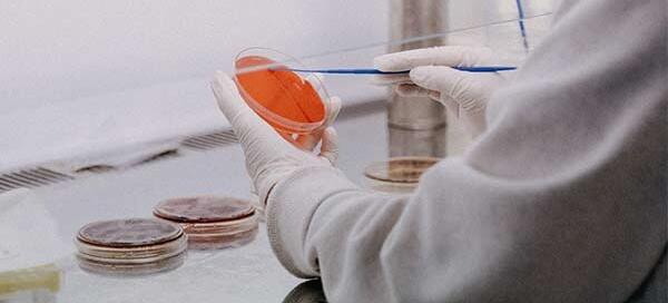 Scientia et Fides