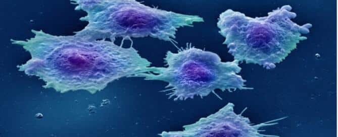 BEAUTY OF CELLS 00 - Associação Brasileira de Cristãos na Ciência: ABC²