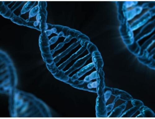 As Propriedades Incríveis do DNA