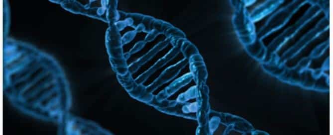 INCREDIBLE DNA 00 - Associação Brasileira de Cristãos na Ciência: ABC²