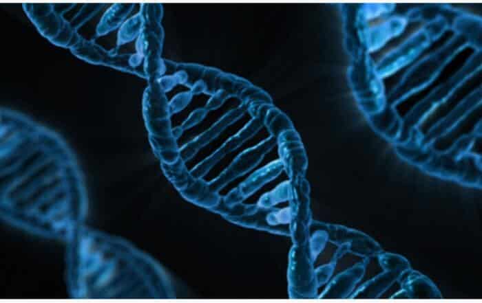 INCREDIBLE DNA 00 - Associação Brasileira de Cristãos na Ciência: ABC²