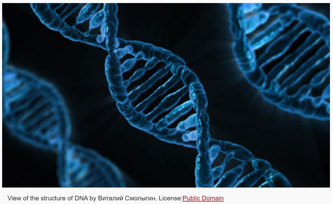 INCREDIBLE DNA 01 - Associação Brasileira de Cristãos na Ciência: ABC²